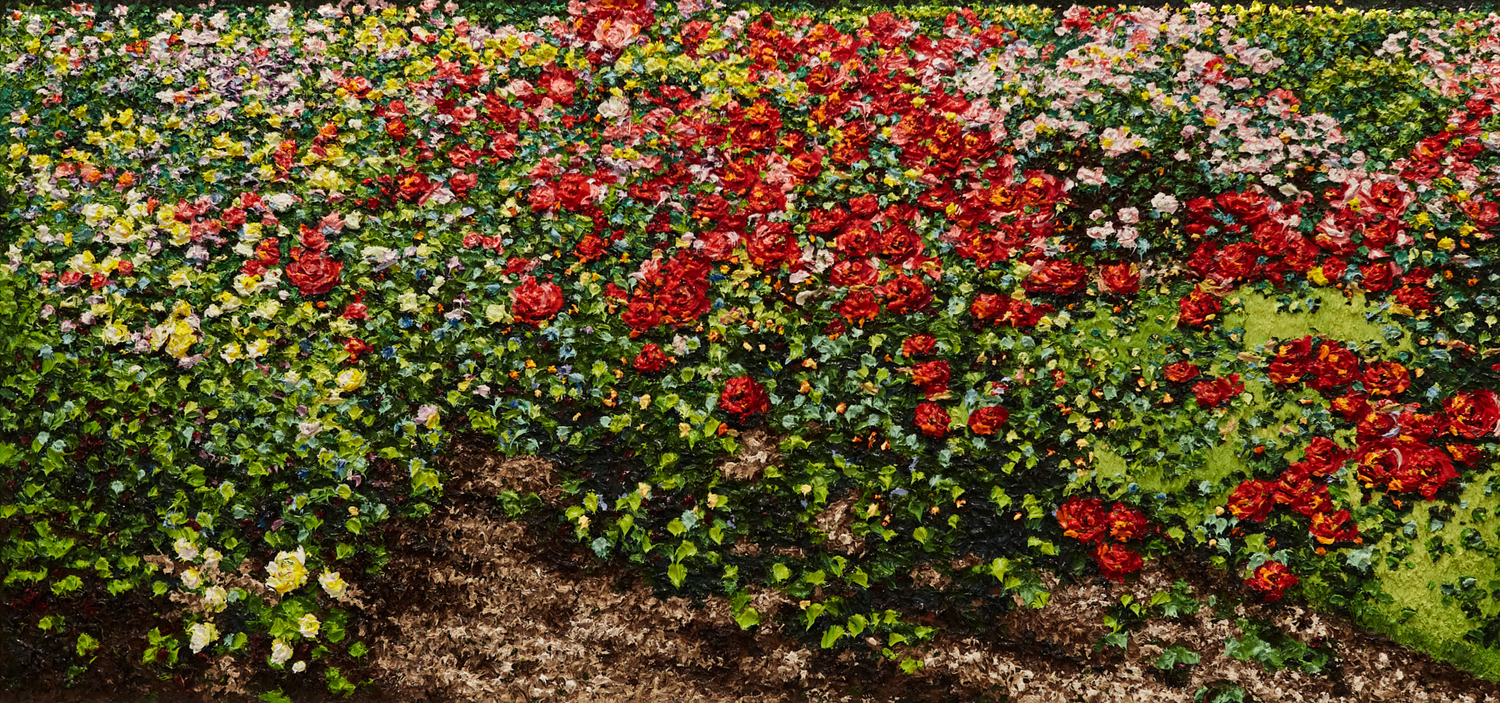 auckland-rose-gardens-by-peter-hackett-parnell-gallery