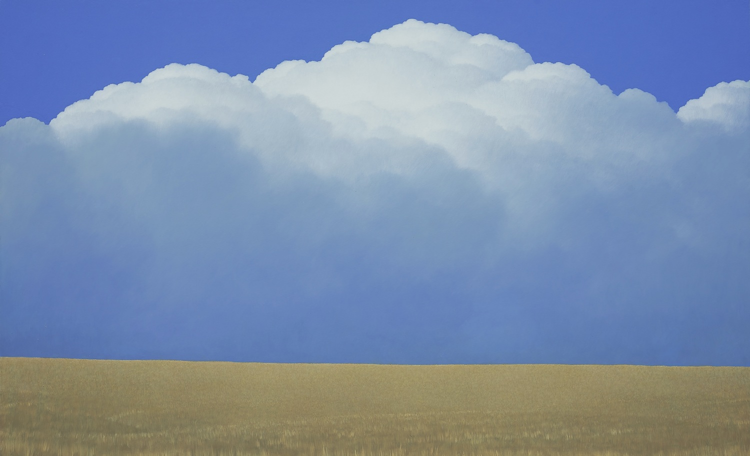 massing-clouds-field-by-brent-wong-parnell-gallery