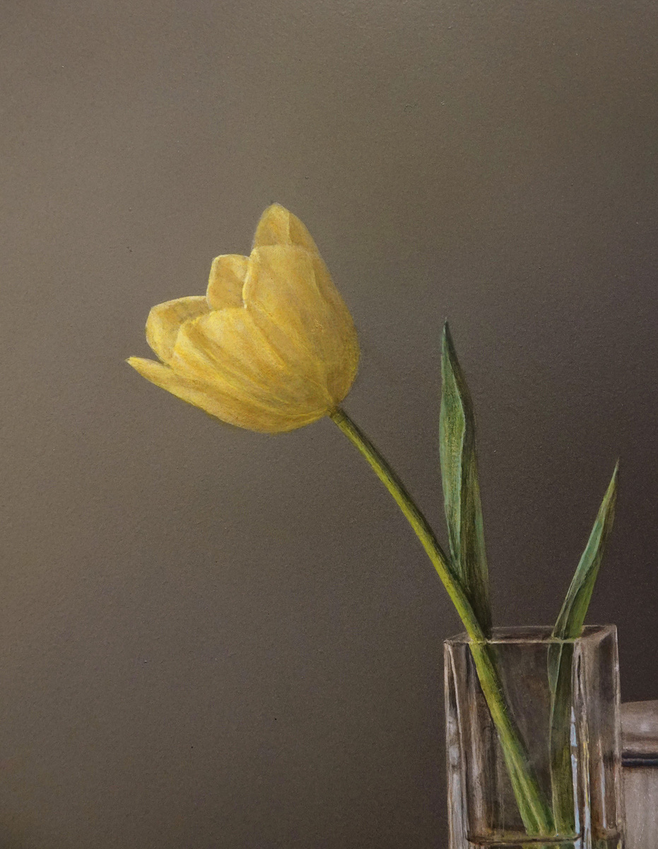 Yellow Tulip