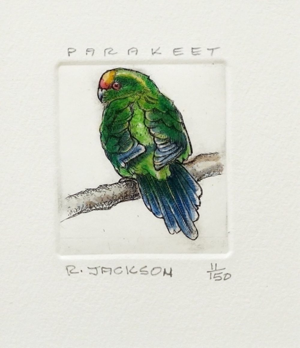 Russell Jackson, Limited Edition - Parakeet - Etching, Parnell Gallery Auckland NZ