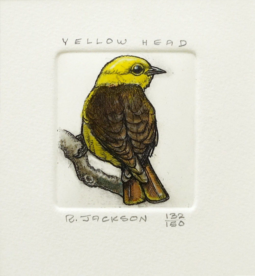 Yellowhead