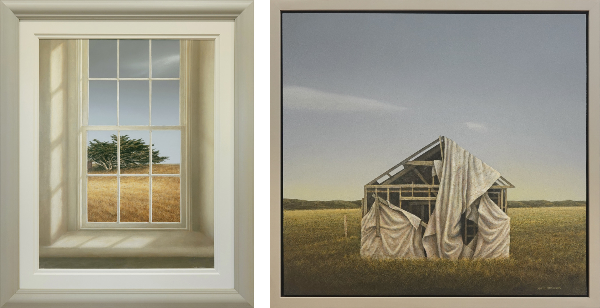 Neil driver paintings - draped shed and macrocarpa