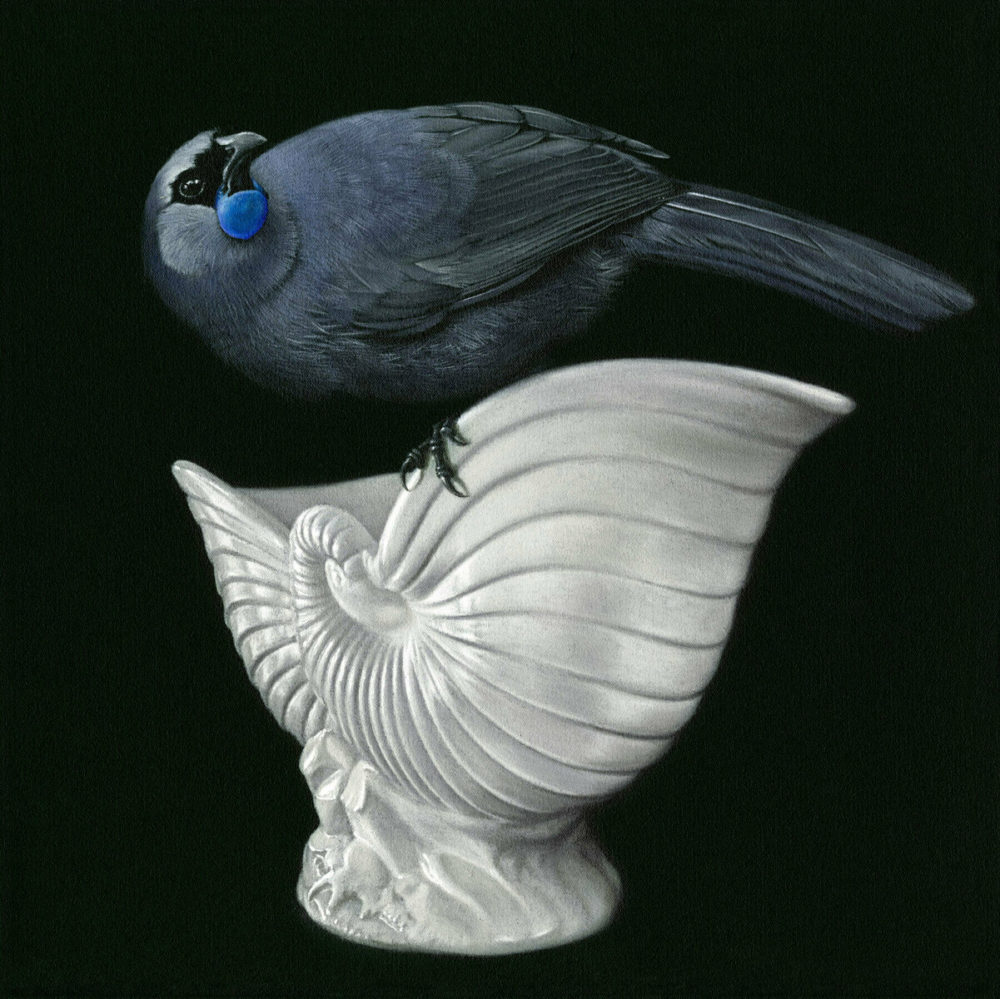 Jane Crisp Kokako on Crown Lynn limited edition contemporary bird print at Parnell Gallery Auckland NZ