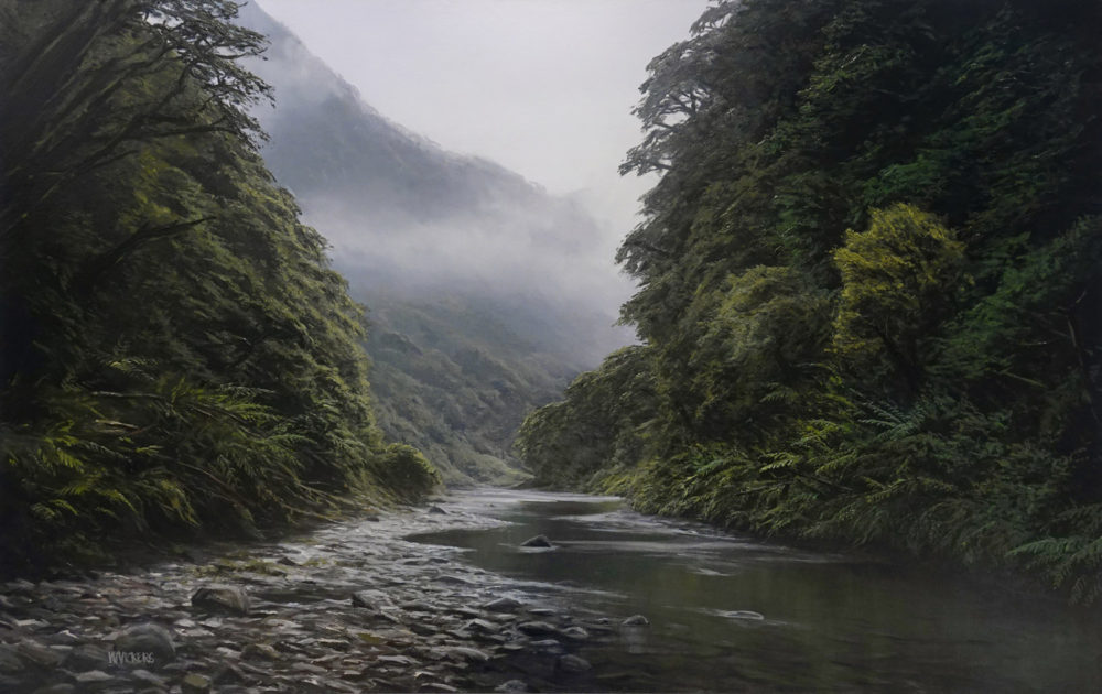 Anini Stream, Te Urewera National Park