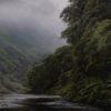 Anini Stream, Te Urewera National Park