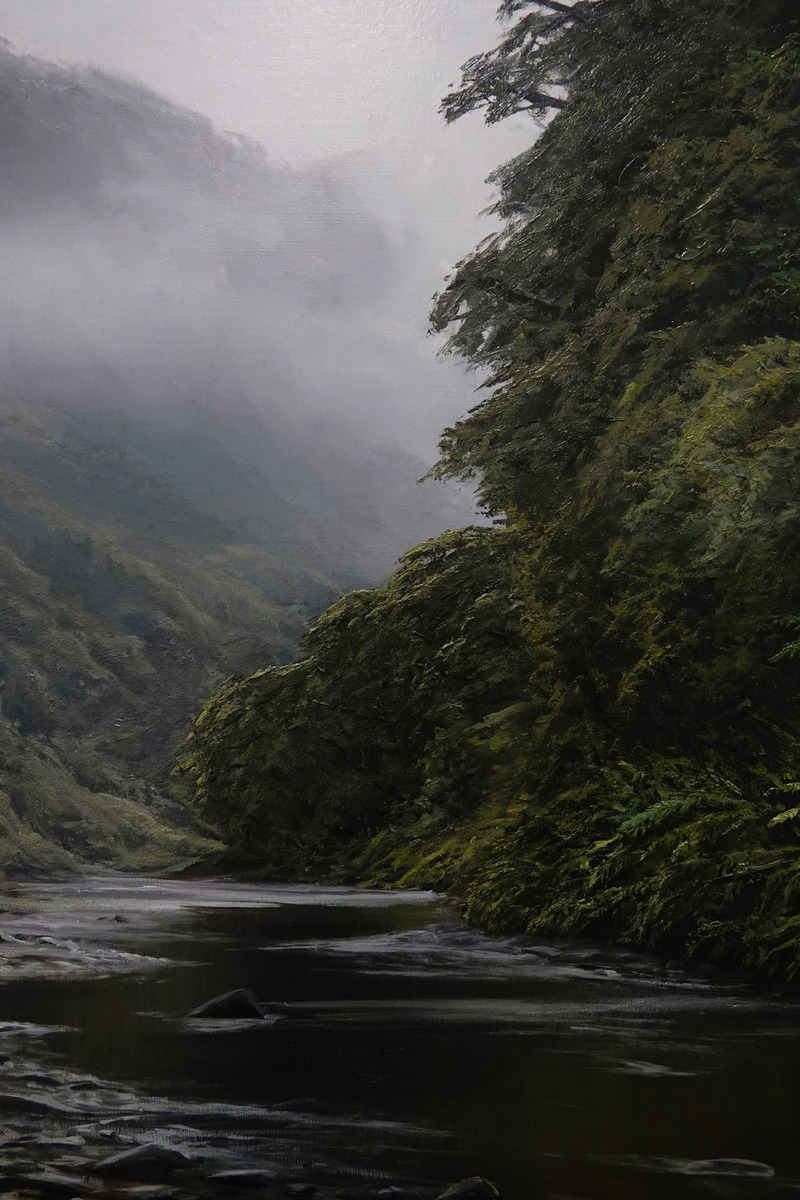 Anini Stream, Te Urewera National Park